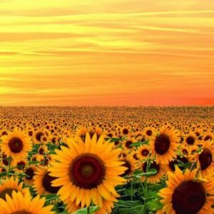 Meet your Posher, Mindy